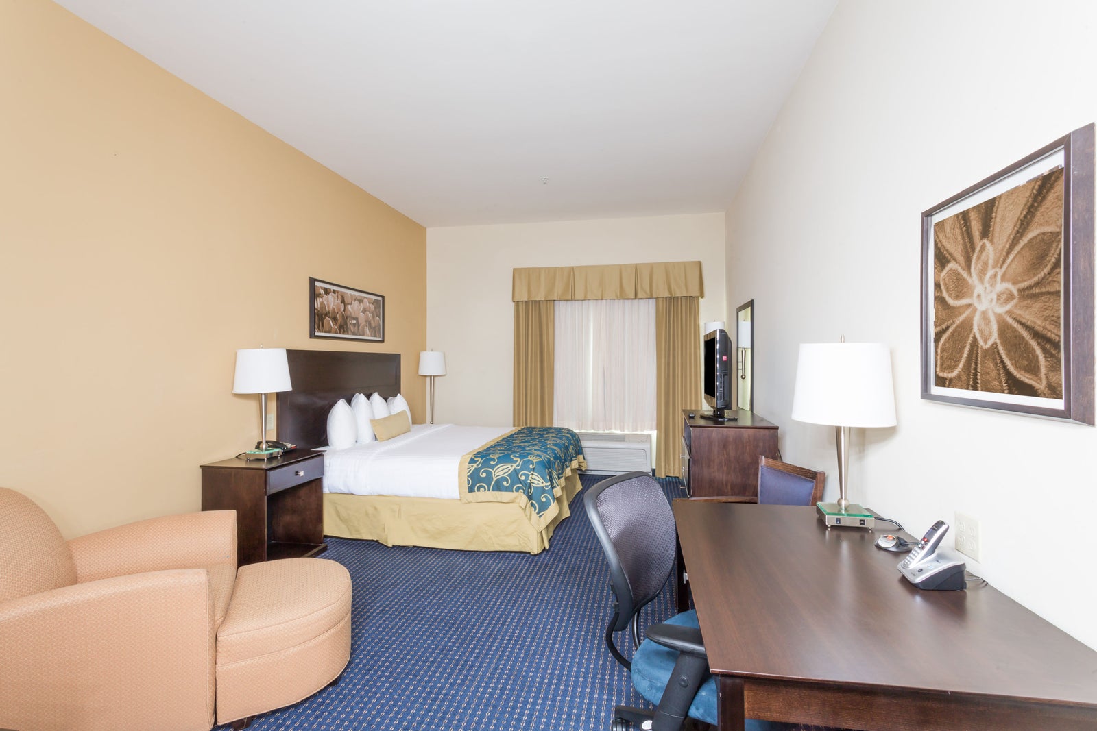 1 King Bed Room