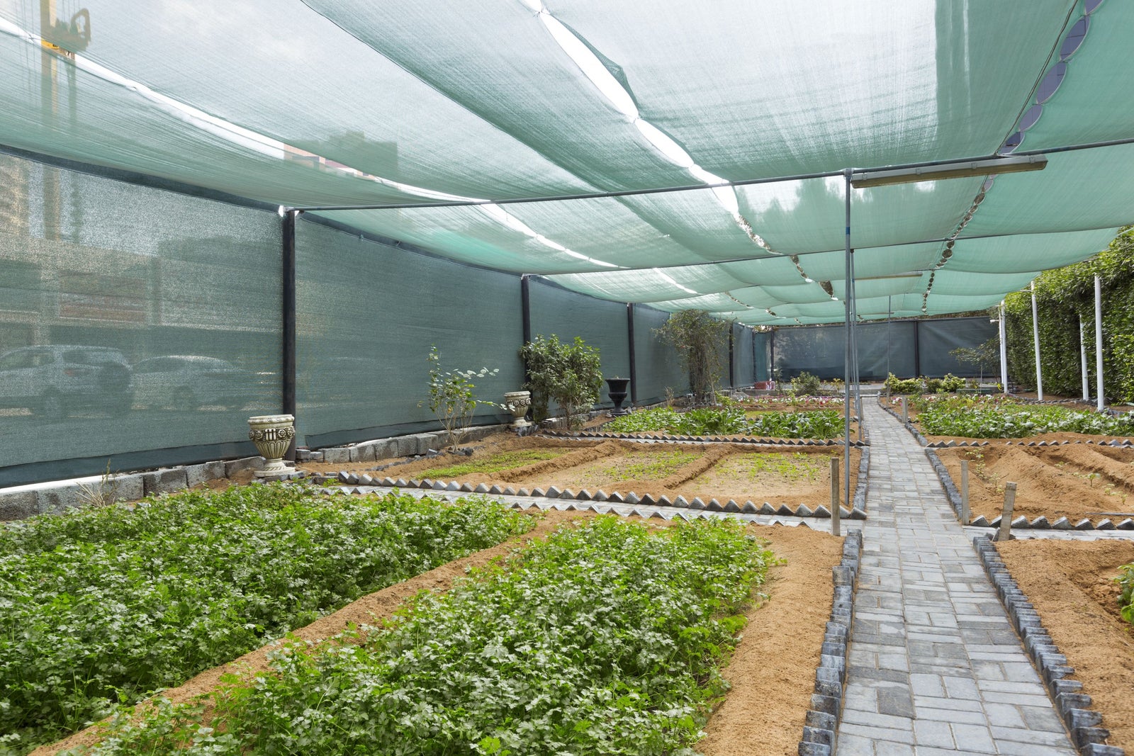 Urban Farm