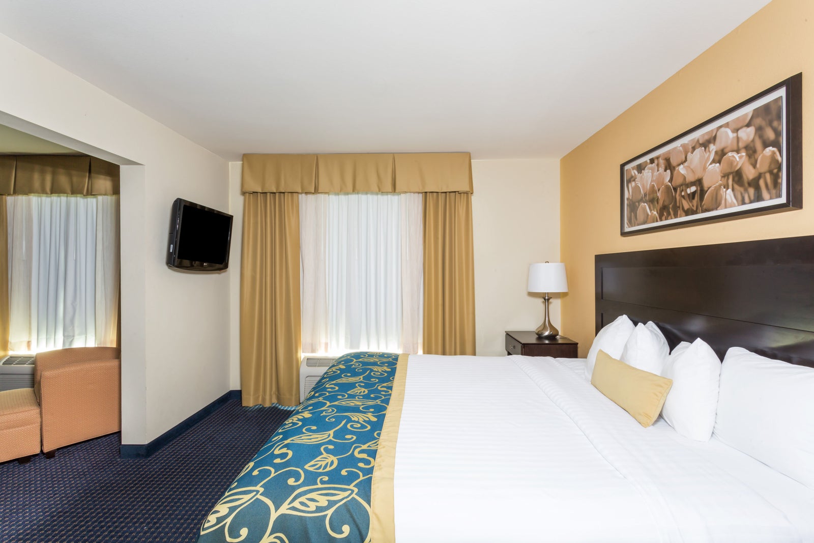 1 King Bed Suite