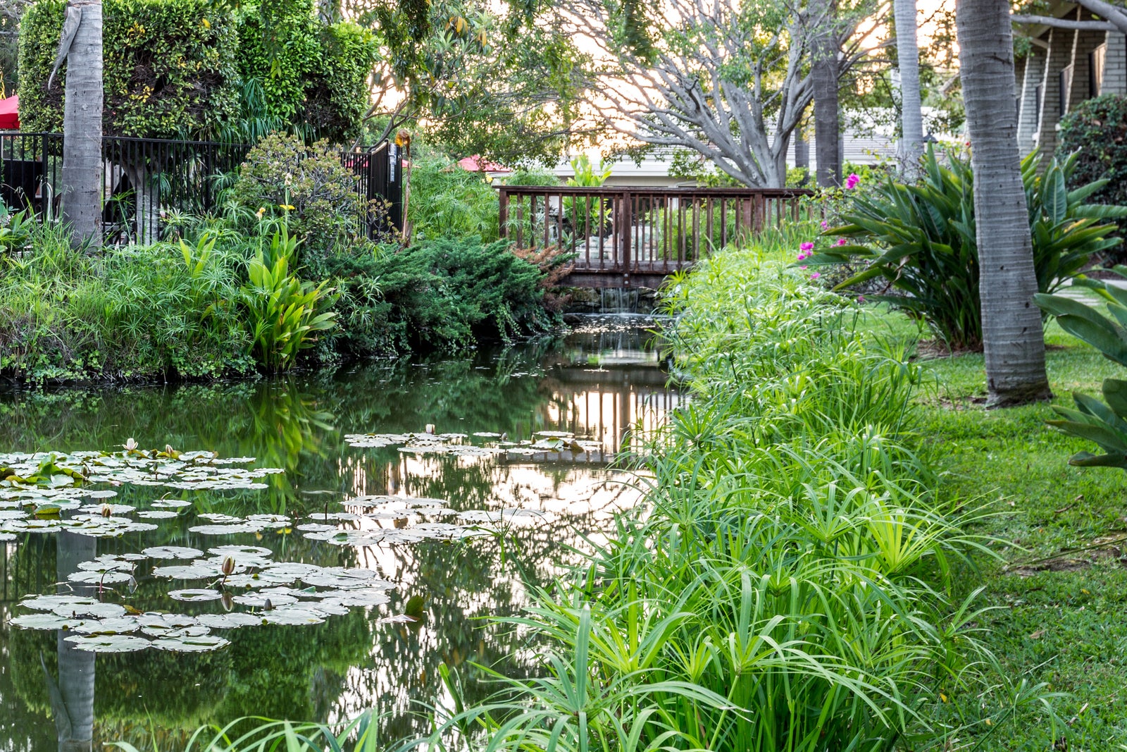 Lagoon