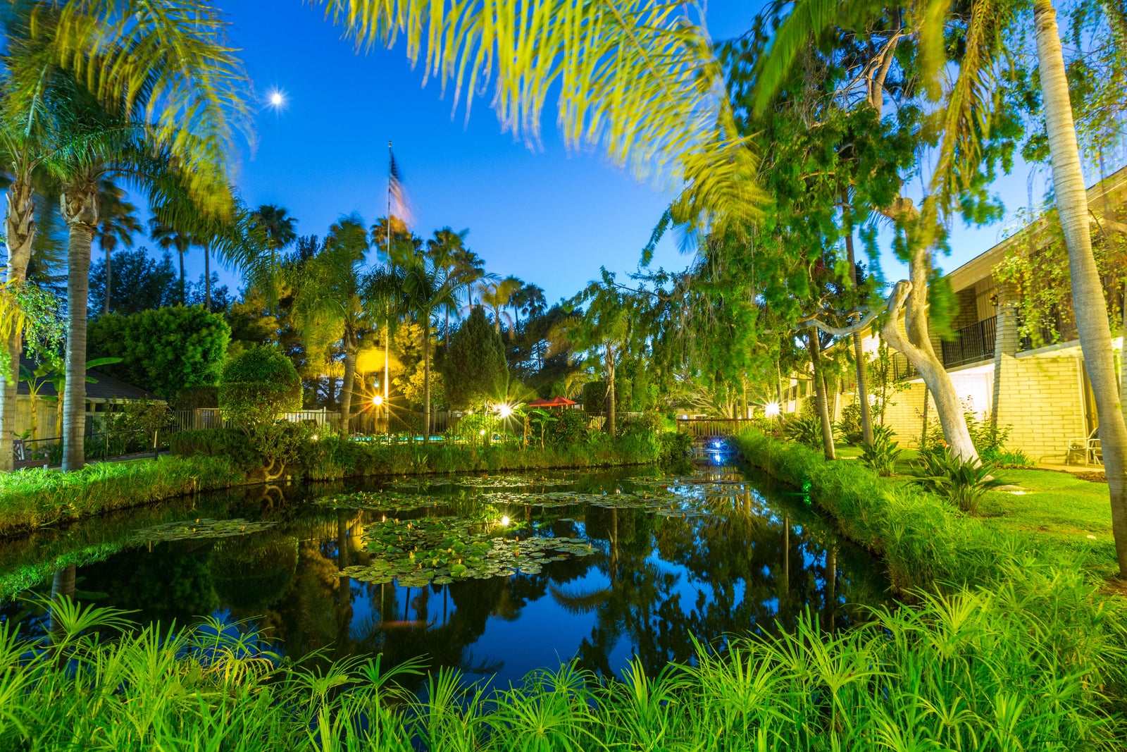 Lagoon