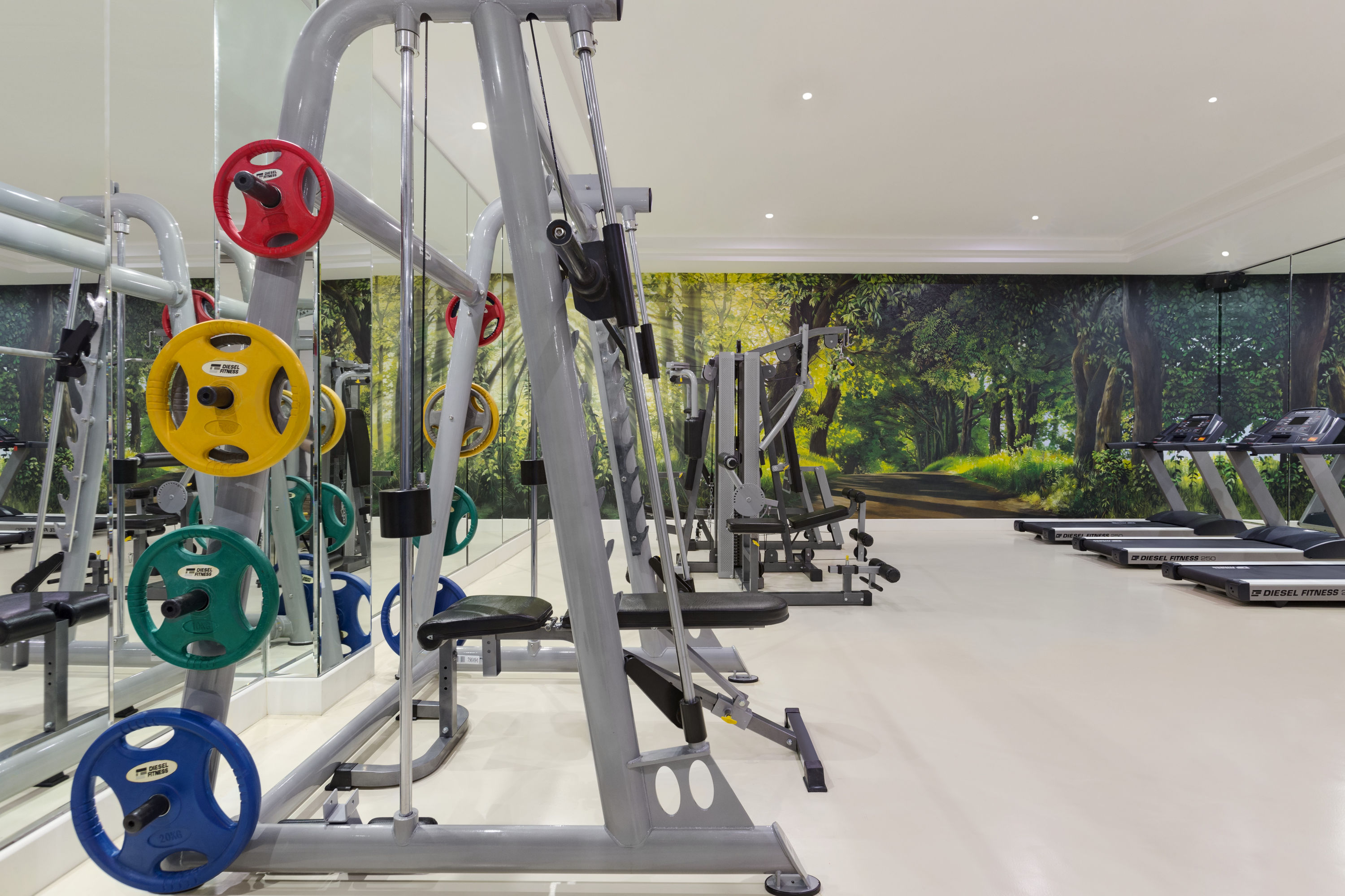 Fitness room at Ramada Plaza by Wyndham Istanbul Atakoy in Istanbul, Other than US/Canada