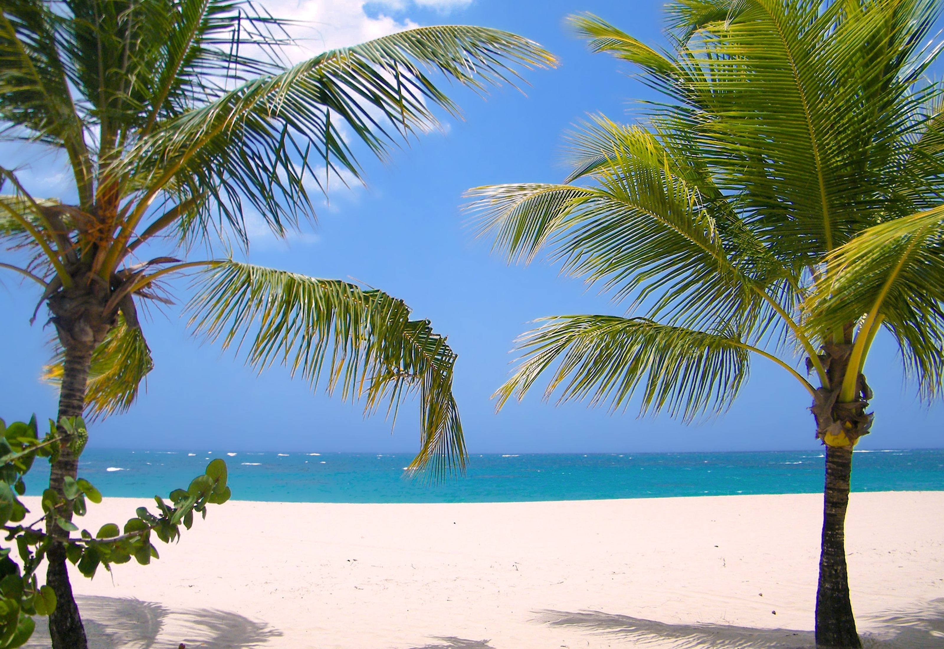 Beach near Viva Heavens by Wyndham, A Trademark All Inclusive in Puerto Plata, Other than US/Canada