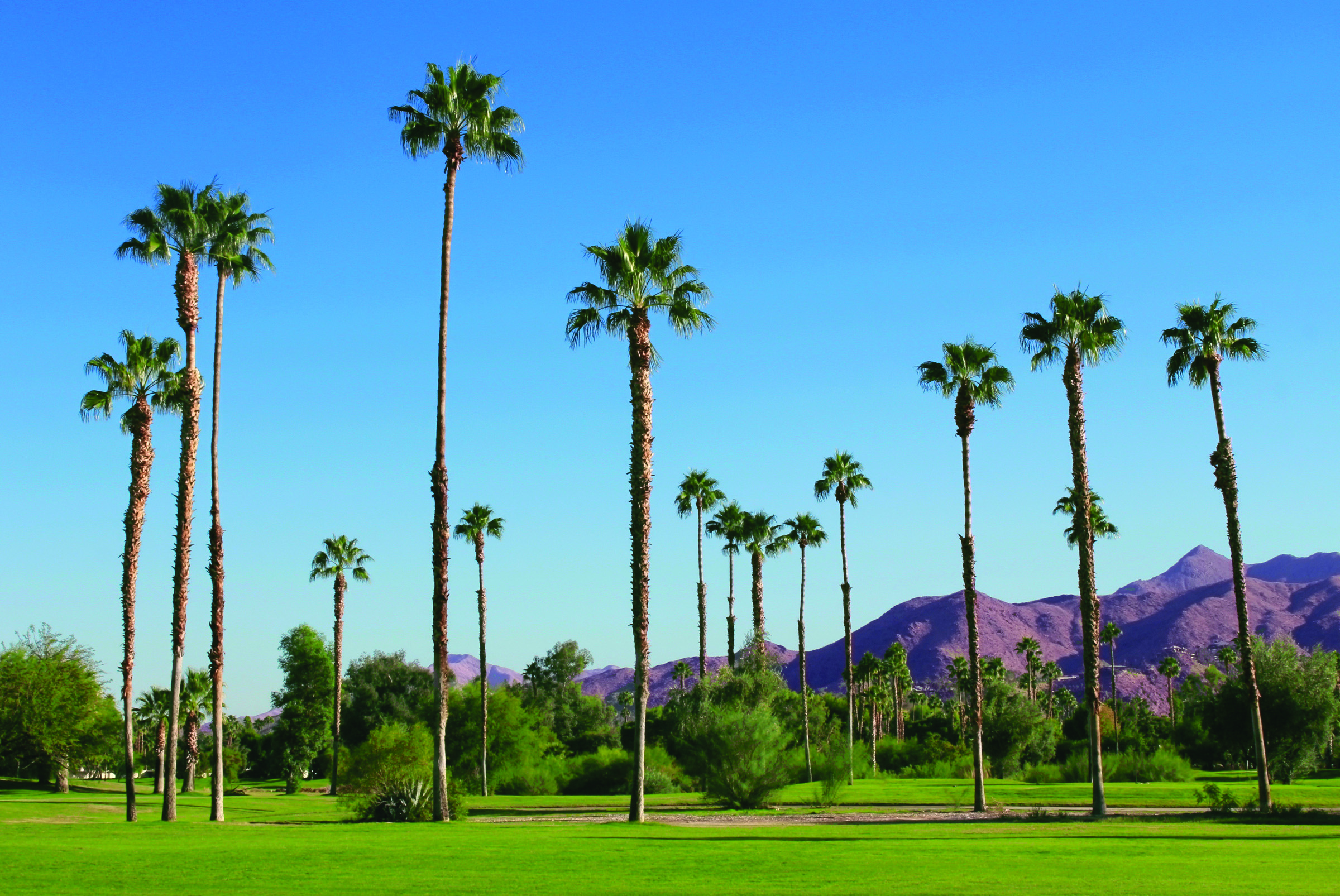 Local attraction at WorldMark Palm Springs - Plaza Resort and Spa in Palm Springs, California