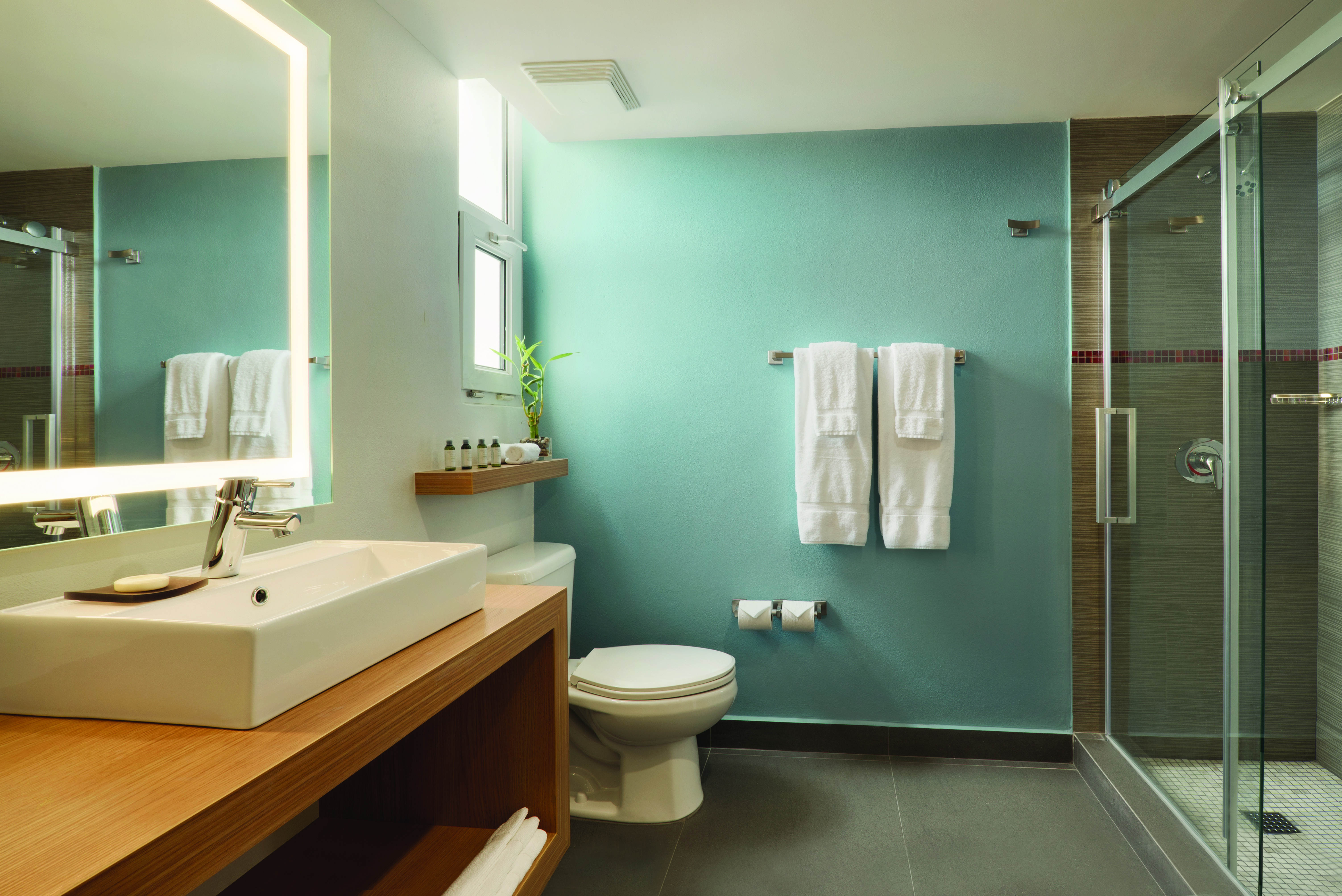 Guest room bath at the TRYP by Wyndham Isla Verde in Carolina, Other than US/Canada