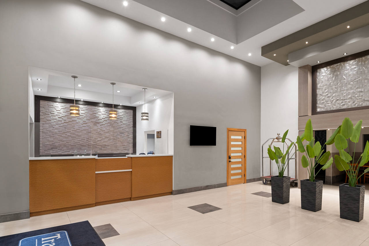Modern lobby with a wood reception desk, pendant lights, wall-mounted screen, wooden door, and potted green plants.